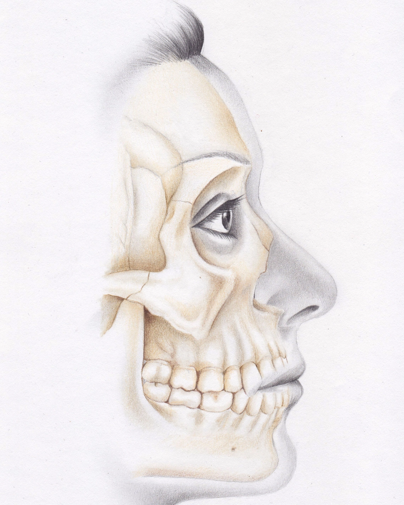 Facelift outline pencil drawing